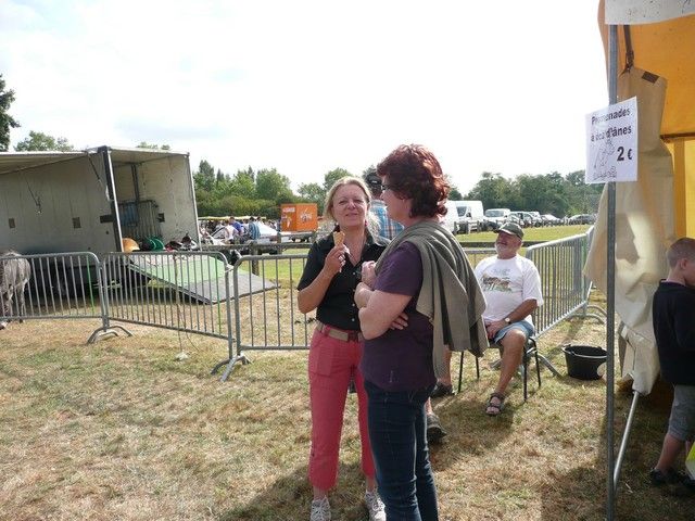 vide grenier 2012 (36).jpg